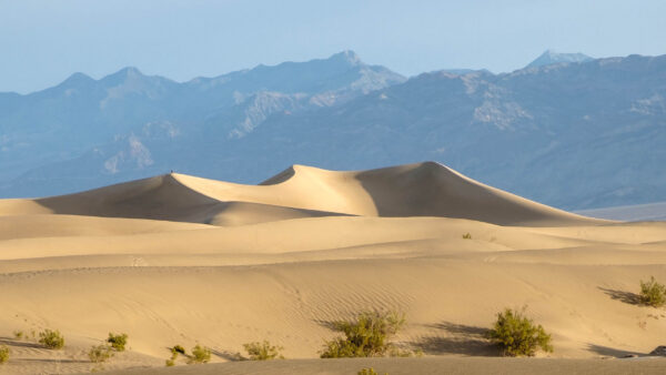 Wallpaper Bushes, Desert, Nature, Light, Hills, Sand, Brown, Background, Mountains