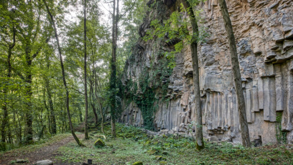 Wallpaper Forest, Trees, Green, Rock, Nature, Mountains, Beautiful, Background