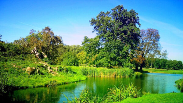 Wallpaper River, Sky, Between, Blue, Under, Bushes, Grass, Fall, Green, Trees, Plants
