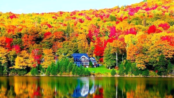 Wallpaper Red, Yellow, Blue, Trees, River, Forest, Autumn, Reflection, Orange, House, Fall, Wood, Green