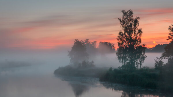 Wallpaper During, River, Covered, Reflection, Sunset, Water, Mobile, Nature, Desktop, Shore, Trees, Fog