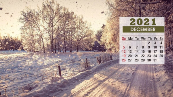 Wallpaper Background, December, Calendar, Nature, Winter, 2021