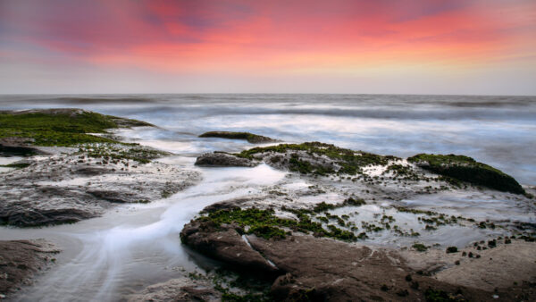 Wallpaper Desktop, Mobile, Nature, During, Ocean, Stones, Blue, Rocks, Waves, Under, Sky, Pink, Sunset, Algae