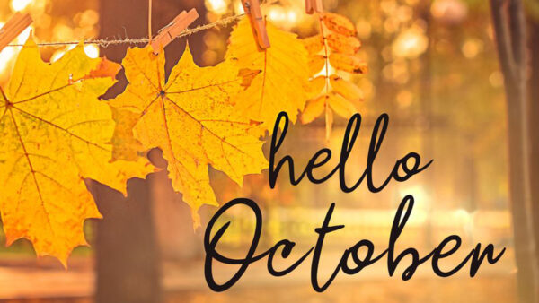 Wallpaper October, Background, Hello, Leaves, Bokeh, Yellow, Autumn