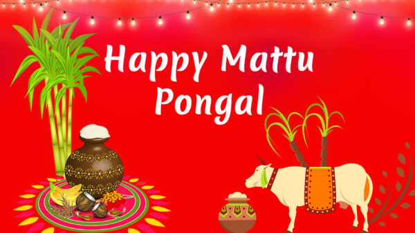 Wallpaper Background, Pongal, Happy, Red, Mattu