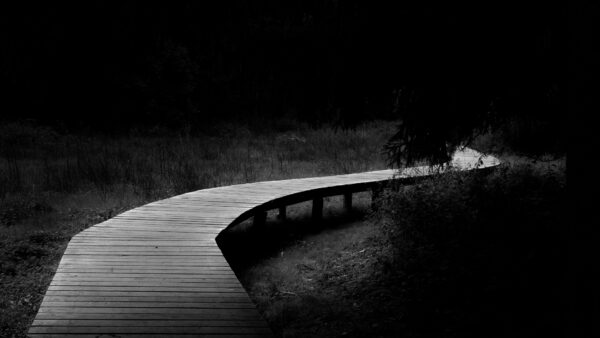 Wallpaper Wood, And, Black, Image, Background, Dark, Dock, Field, Desktop, White, Trees, Grass, Mobile, Path