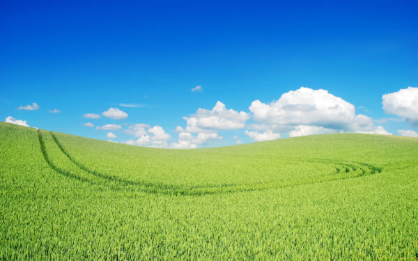 Wallpaper Landscape, Beautiful, Green