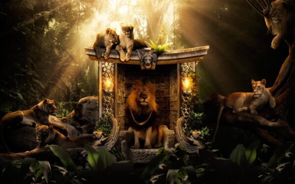 Wallpaper Lions, Jungle