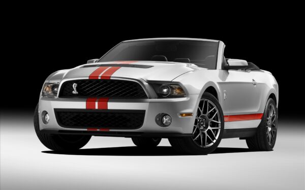 Wallpaper Shelby, 2011, Ford, GT500