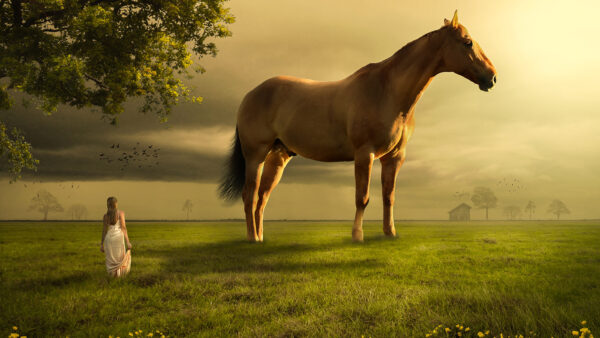 Wallpaper Horse, Landscape, Girl