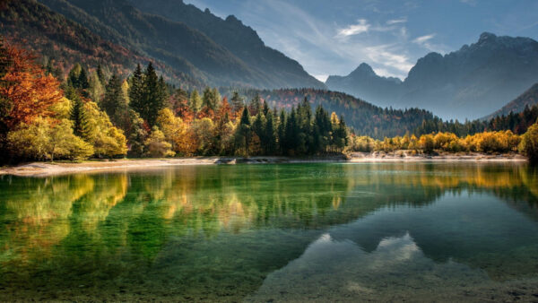 Wallpaper Body, Mountains, During, Calm, Trees, Nature, With, Daytime, Desktop, Water, And, Mobile, Surrounded