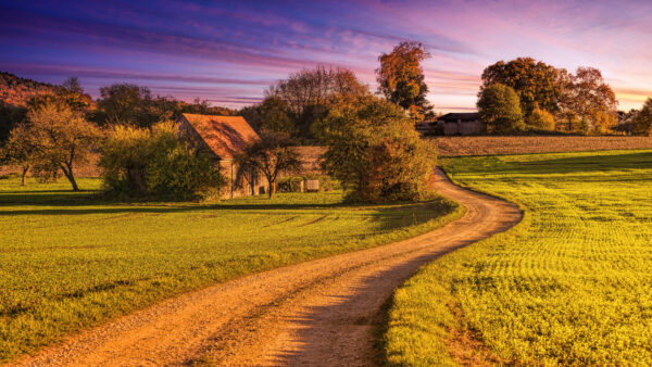 Wallpaper Road, Barn, Mobile, Desktop, Field, Between, Landscape, Dirt, Grass, Nature