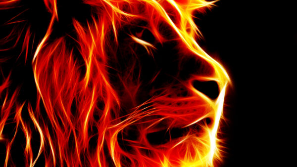 Wallpaper Fire, Desktop, Flame, Face, Like, Lion, Artistic