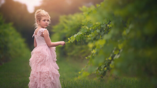 Wallpaper Light, Girl, Pink, Mobile, Standing, Plant, Wearing, Leaves, Beautiful, Desktop, Dress, Cute, Near, Green, Little