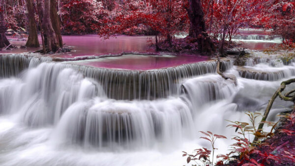 Wallpaper Nature, Leafed, Surrounded, Pouring, Trees, Red, Desktop, River, Stream, Waterfall