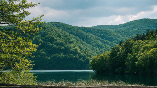 Wallpaper Sky, Landscape, Forest, Mobile, And, View, River, Under, Desktop, Blue, Trees, Nature