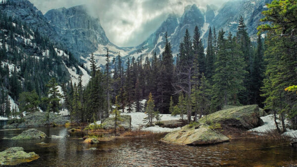 Wallpaper Nature, Mountains, Covered, Trees, River, White, Snow, Forest, Near