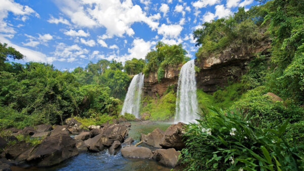 Wallpaper Nature, Between, Foliage, Forest, Plants, Rocks, Waterfall