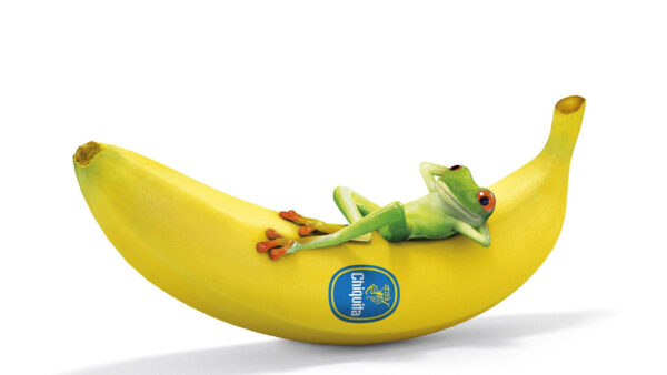 Wallpaper Desktop, Lying, Cartoon, Frog, Banana