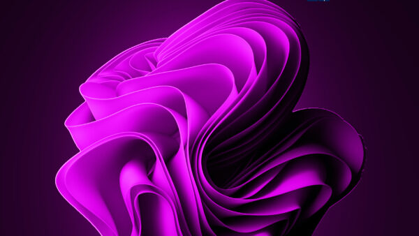 Wallpaper Purple, Dark, Logo, Windows