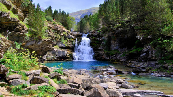 Wallpaper Plants, Stone, Bushes, Pouring, Scenery, Trees, Rocks, Waterfall, Nature, Lake, Forest