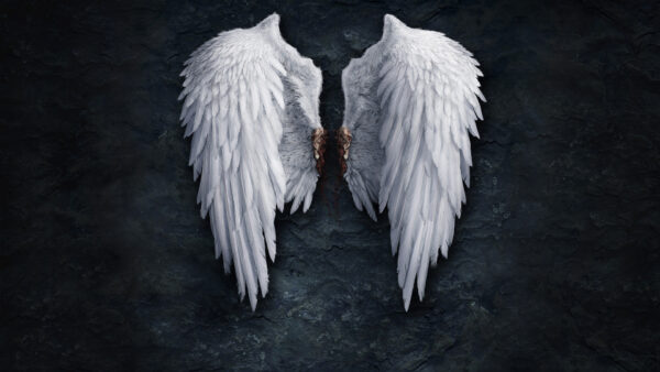 Wallpaper Wings, Angel