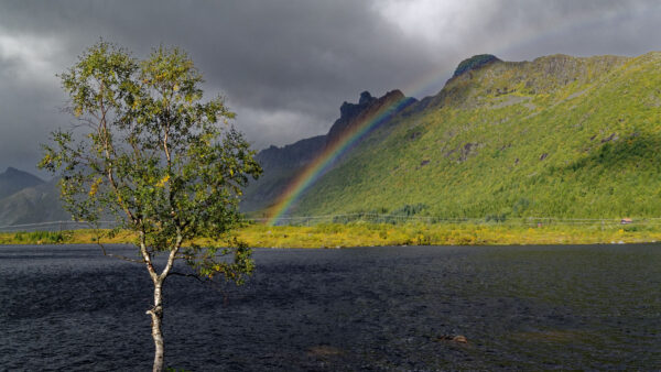 Wallpaper Bushes, Rainbow, Sky, Greenery, View, Mobile, Rock, Desktop, River, Clouds, Black, Landscape, Mountain, Nature