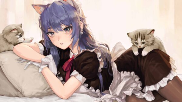 Wallpaper Blue, Hair, White, Dress, Kittens, With, Girl, Anime, Cat, Black