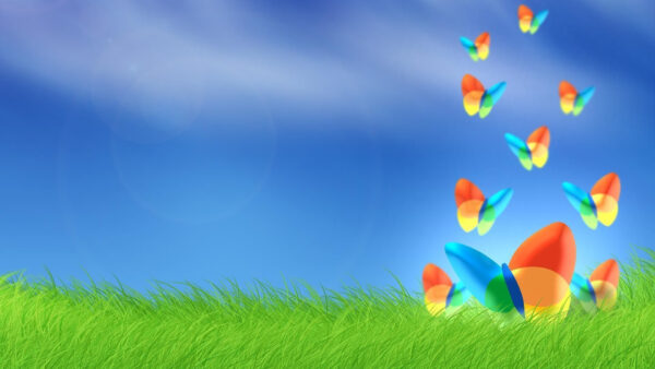 Wallpaper Colorful, Animated, Butterflies