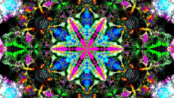 Wallpaper Flower, Abstraction, Fractal, Kaleidoscope, Colorful, Abstract, Shape