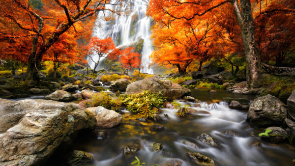 Wallpaper Trees, Water, Beautiful, Rocks, Stream, Red, Waterfalls, Fall, Autumn, Bushes, Landscape, View