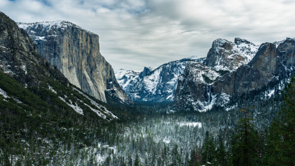 Wallpaper White, Mobile, Sky, Trees, Blue, Forest, With, Under, Rocks, Desktop, Snow, Mountains, Clouds