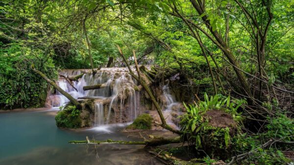 Wallpaper Green, Waterfalls, Forest, Background, Bushes, Trees, Covered, Rock, Nature, Stream, Algae