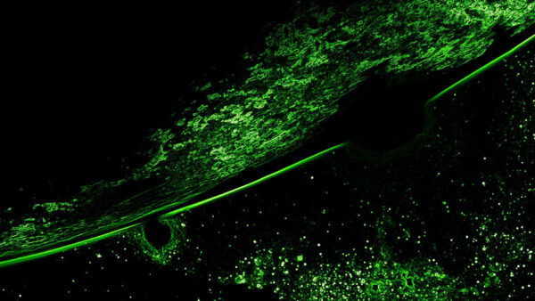 Wallpaper Background, Black, Green, Galaxy, Space