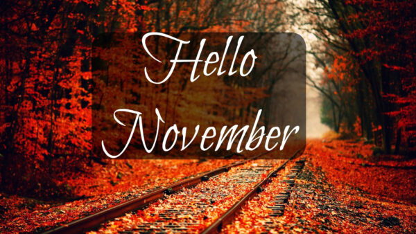 Wallpaper Autumn, Trees, Background, Red, Track, Leaves, Railway, November, Hello