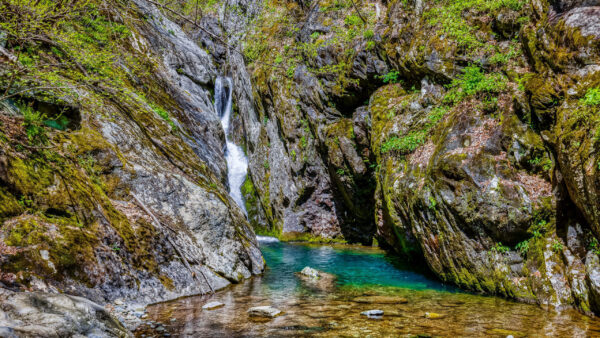 Wallpaper Nature, Stream, Covered, Algae, Lake, Rocks, Waterfall, Bushes