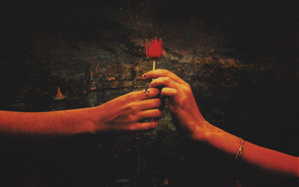 Wallpaper Rose, Love, Proposal, Red