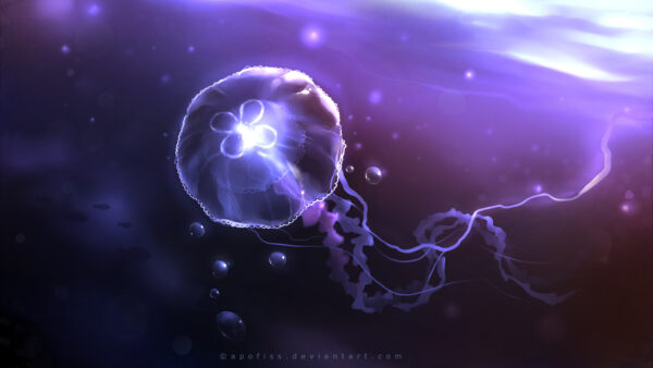 Wallpaper Underwater, Jellyfish