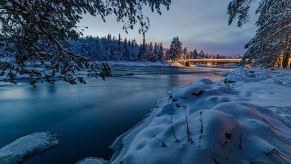 Wallpaper Covered, Desktop, Under, Bridge, Nature, Landscape, Trees, With, Phone, Snow, Lake, Mobile