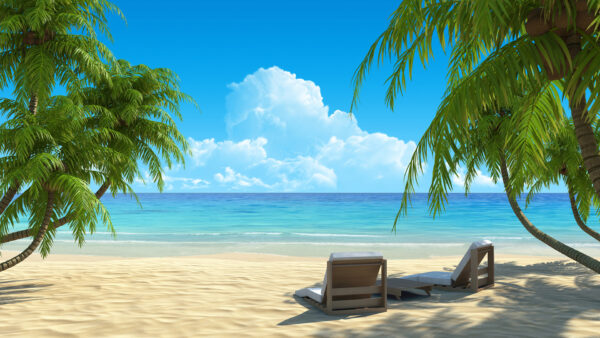 Wallpaper Sand, Palm, Desktop, Chair, Trees, Side, Relaxing, Beach, With, Each