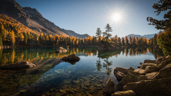 Wallpaper During, Reflection, Switzerland, Mountain, Fall, Forest, Lago, Day, Saoseo, Nature, Alps, Lake, Desktop, Sunny