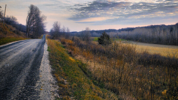 Wallpaper Road, Between, Nature, Cloudy, With, Desktop, Sky, Field, Mobile, Background, Gray