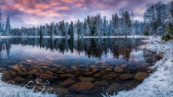 Wallpaper Water, Calm, Cloudy, Sky, Nature, Covered, Under, Clear, Black, Surrounded, Body, Yellow, Snow, Forest