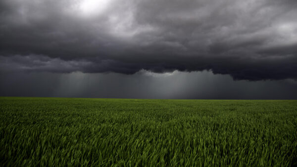 Wallpaper Clouds, Sky, Mobile, Black, Nature, Under, Desktop, Grass, Green, Field, White