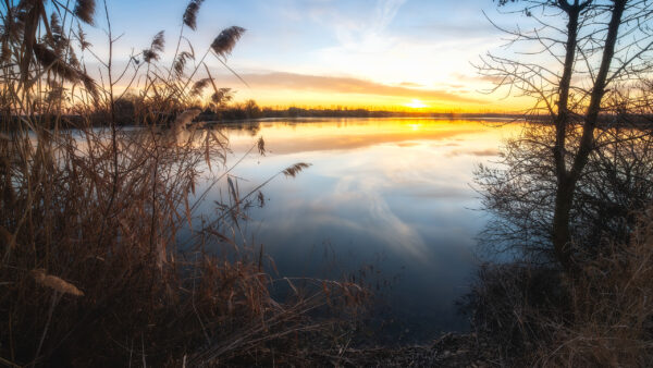 Wallpaper View, Beautiful, Landscape, River, Nature, Sunrise, Reflection, With