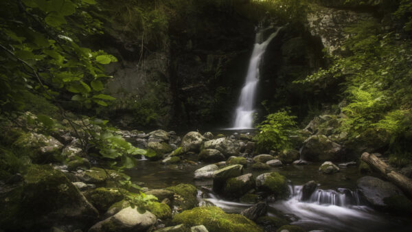 Wallpaper Trees, Waterfall, Plants, Landscape, Stones, Nature, View, Desktop, Mobile, Algae