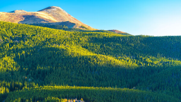 Wallpaper Mountains, Trees, Sky, Mobile, Nature, Background, Blue, Hills, Green, Beautiful, Desktop