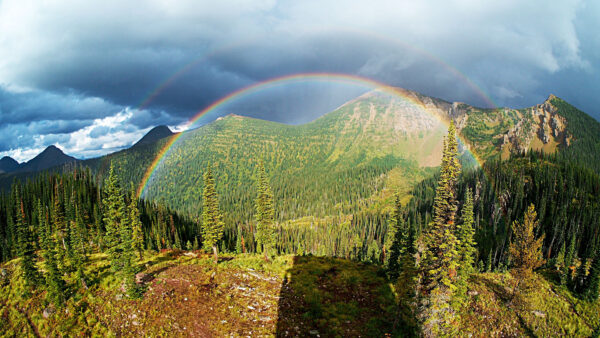 Wallpaper Mobile, Spruce, Slope, Mountain, Under, Trees, During, Mountains, Sky, Desktop, Rainbow, Daytime, Green, Blue