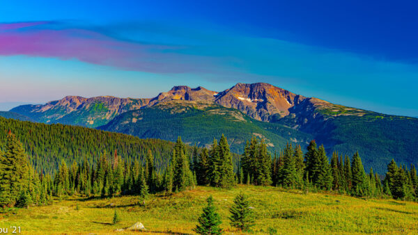 Wallpaper Mountains, Spruce, Field, Trees, Grass, Beautiful, Bushes, Green, Scenery, Mobile, Rock, Blue, Desktop, Sky, Background, Forest, Nature