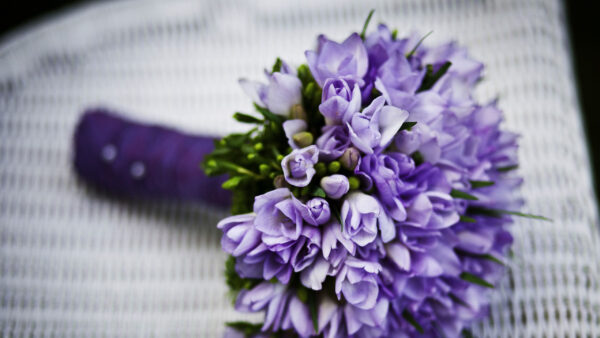 Wallpaper Bouquet, Flowers, Purple